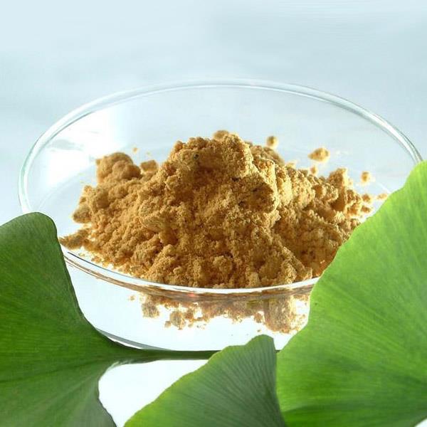 Ginkgo Flavonoids