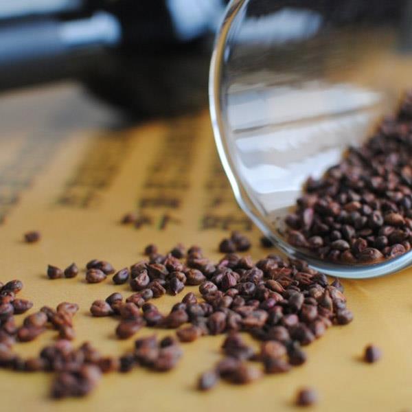 Grape seed extract