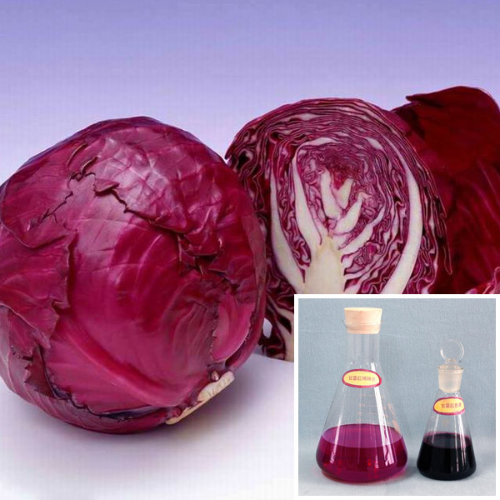 Red cabbage