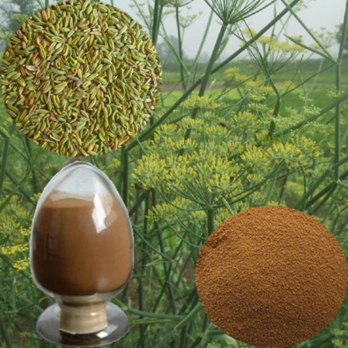 小茴香提取物