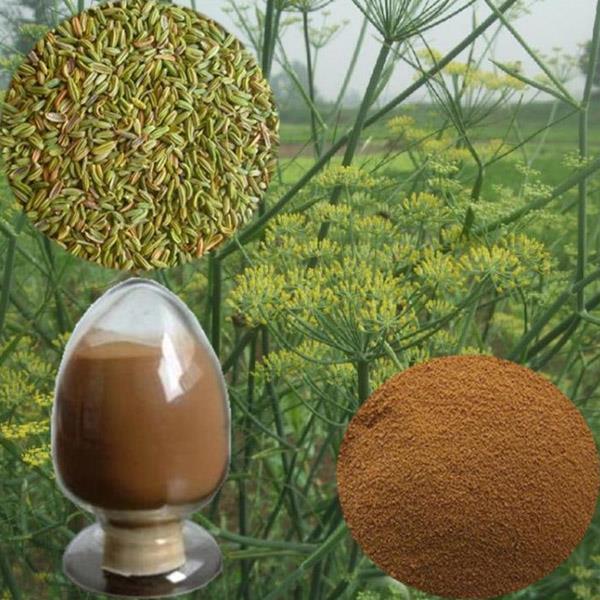 小茴香提取物