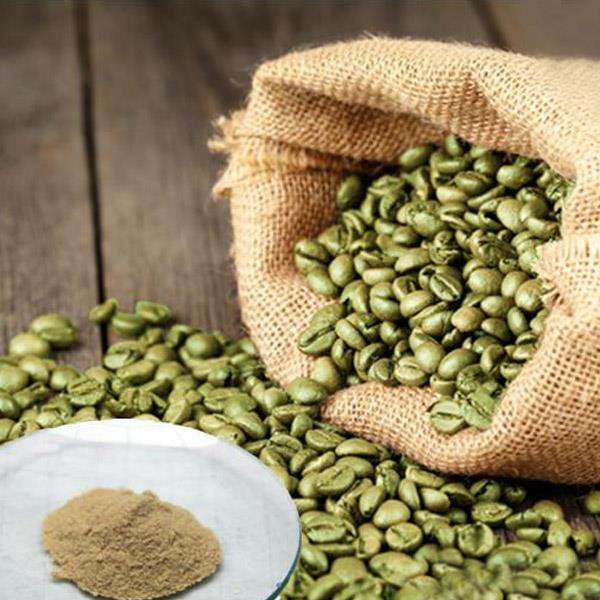Green coffee bean extract