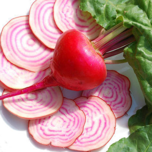 Red beet