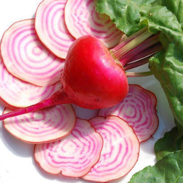 Red beet