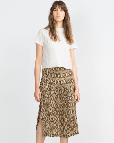 Middle skirt