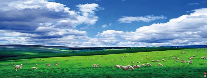 Vast grassland