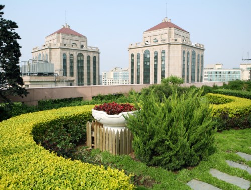 Roof greening is the “vault” hidden in the roof, you know?