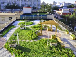 Roof greening issues need to pay attention to the problem