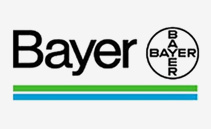 Bayer