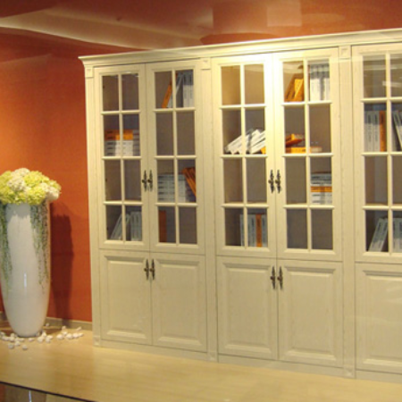 European style bookcase