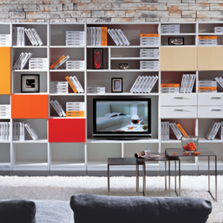 Combination TV cabinet bookcase