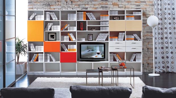 电视柜书柜组合